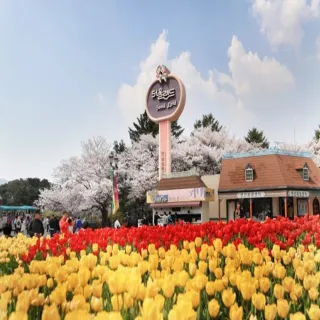 【喜鴻假期】不進人蔘保肝.想飛首爾5日★全新開幕萬豪AC飯店.樂天世界.海陸饗宴.首爾大公園(含稅)