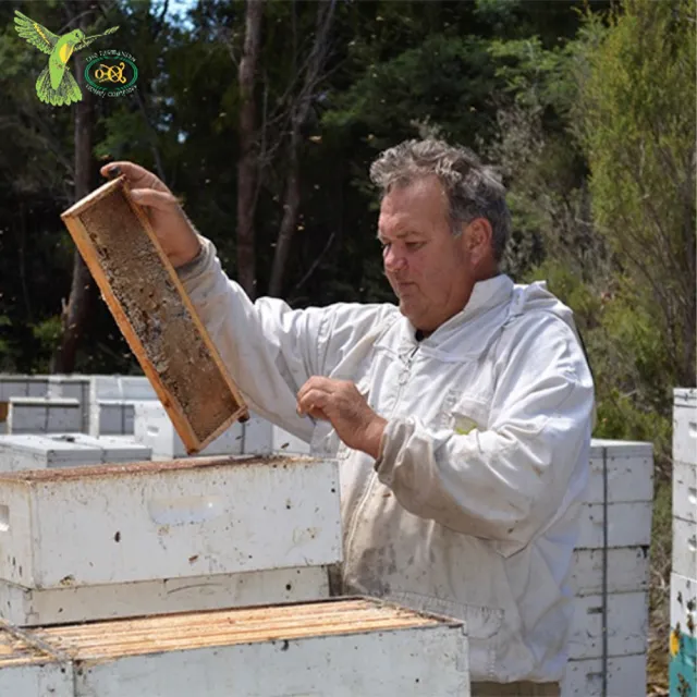 【THE TASMANIAN HONEY COMPANY】澳洲塔斯馬尼亞島夏日百花生蜂蜜-500g(Meadow)