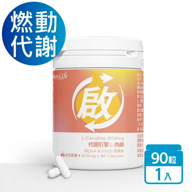 【2026】左旋肉鹼推薦｜10款高評價人氣品牌排行榜 | BALIMAN情報局