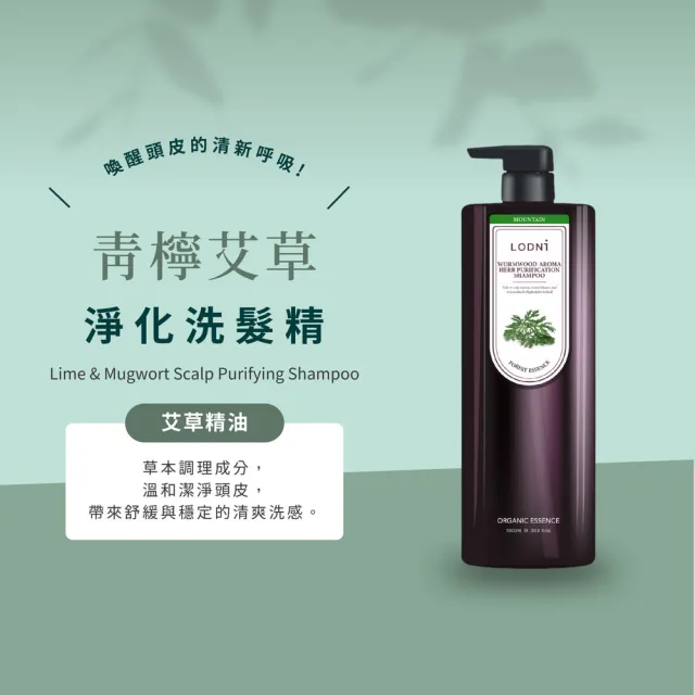 【LODNI 蘿德妮】青檸艾草淨化洗髮精1000mL(油性頭皮適用)