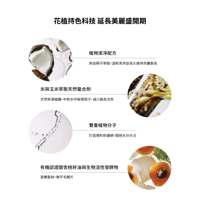 【AVEDA】護色穎采潤髮乳1000ml(髮色飽滿 長達8週)_附贈 壓頭