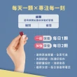 【BTP】蝦紅素+葉黃素亮澄素膠囊6入共180粒(游離型葉黃素/蝦紅素/山桑子/松樹皮/原花青素)