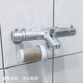 【CAESAR 凱撒衛浴】沐浴龍頭 / 免治馬桶專用 極淨純水過濾器濾芯 6 入組( PP過濾綿＋亞硫酸鈣除氯)