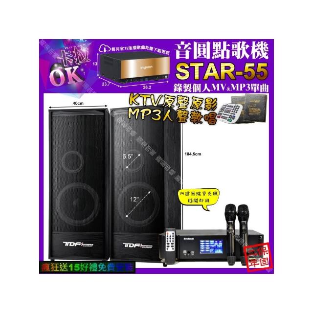 【音圓】STAR-55+ENSING Pro3 數位 含無線麥克風2支+TDF K-124(卡拉OK組合/音響設備)