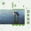 【皇家穀堡】壽豐七星胚芽糙米2.5kg (榮獲日本調理炊飯士肯定)