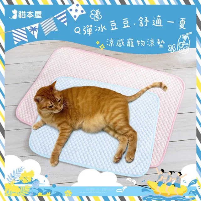 【貓本屋】冰絲涼感 豆豆寵物睡墊(L號/60x50cm)