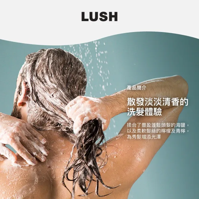 【LUSH 嵐舒】Big 豐盈洗髮露 640g(洗髮精/蓬鬆/光澤/去角質)