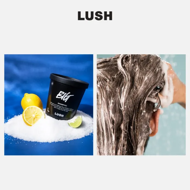 【LUSH 嵐舒】Big 豐盈洗髮露 640g(洗髮精/蓬鬆/光澤/去角質)