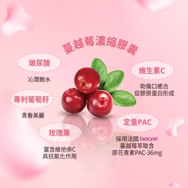 【VIGILL 婦潔】V100蔓越莓私密益生菌-日夜雙護(女性私密保健 私密健康)
