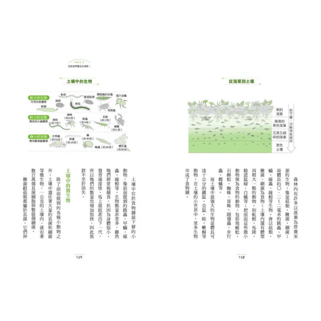 有趣到睡不著的輕科普 妙趣版（全套六冊）：自然、化學、生物、植物、天文、地科