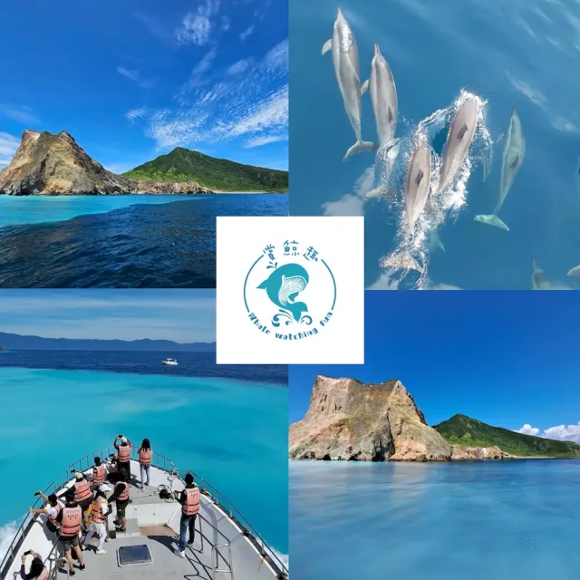 【龜山島賞鯨趣】登島＋環繞宜蘭龜山島八景（二合一）假日不加價(歐享券玩樂/生活券)