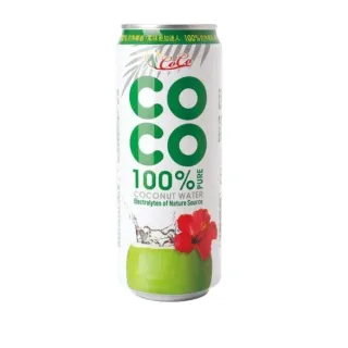 【A+COCO】椰活 100%香純椰子水 500mlx24入/箱(官方直營)