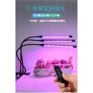 【ROYAL LIFE 皇室生活】LED可定時植物生長燈-四管(多肉植物燈/水草燈/花卉燈/夾燈/燈條/檯燈)
