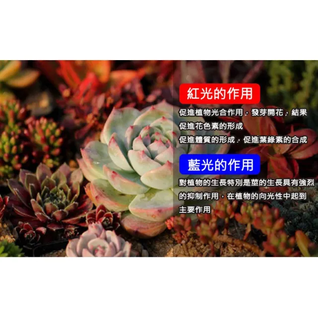 【ROYAL LIFE 皇室生活】LED可定時植物生長燈-三管 4入組(多肉植物燈/水草燈/花卉燈/夾燈/燈條/檯燈)