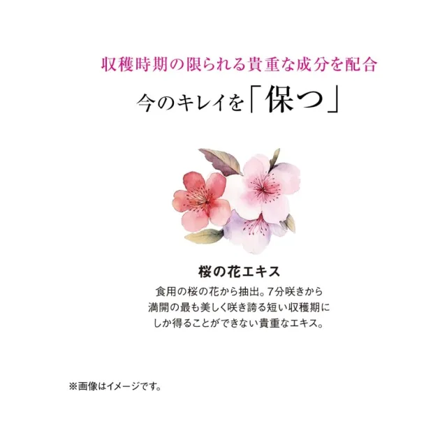 【日本SHISEIDO 資生堂】頂級The Collagen膠原蛋白豪華錠12種美容成分X2(126粒/包)