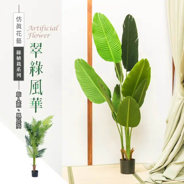 【dayneeds 日需百備】仿真草植-綠植栽系列/翠綠風華 2款可選(室內植物/懶人盆栽/室內盆栽/落地植栽)