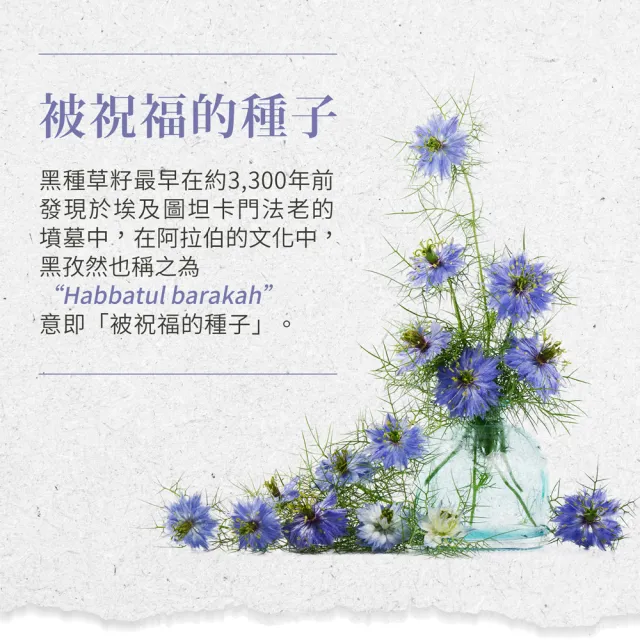 【Sanct Bernhard 聖伯納德】德國百年草本 黑種草油膠囊500mg(400粒/罐 高濃度)