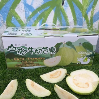 【黑貓嚴選】彰化社頭山腳 陳家牛奶芭樂-珍珠芭樂1箱(6kg/箱)