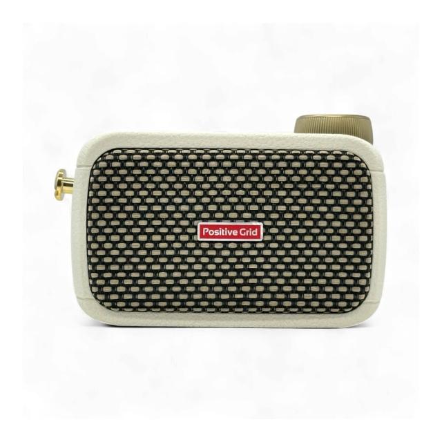 Positive Grid Spark GO