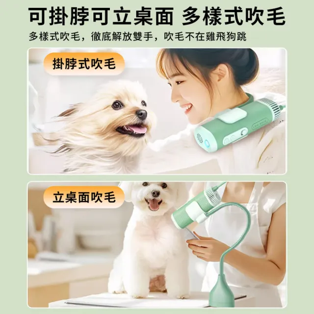 寵物吹風機 吹水機 無刷吹風機 烘毛機(高速電機/3億負離子/50-80℃恆溫吹風/低音低噪)