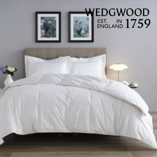 【WEDGWOOD】台灣製｜限量精選80%雅品白鴨絨 抗菌羽絨舒眠被 冬被(加大)