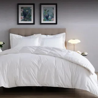 【WEDGWOOD】80%雅品白鵝絨 抗菌羽絨被 冬被(加大 240x210cm)