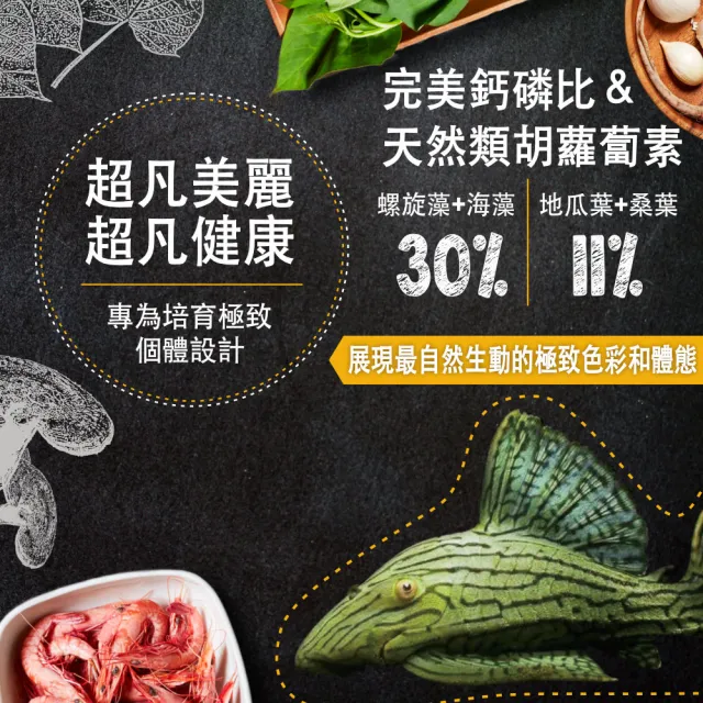 【鮮蝦食譜】草食性異形&熱帶魚-螺旋藻鮮嫩蔬菜蝦肉派1150ml(沈底飼料 異形飼料 草食)