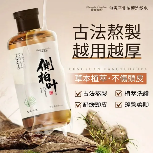 仲夏青春無患子側柏葉洗髮精300ml 2入組(輕盈蓬鬆 自然亮澤 秀髮絲滑 呵護髮絲)