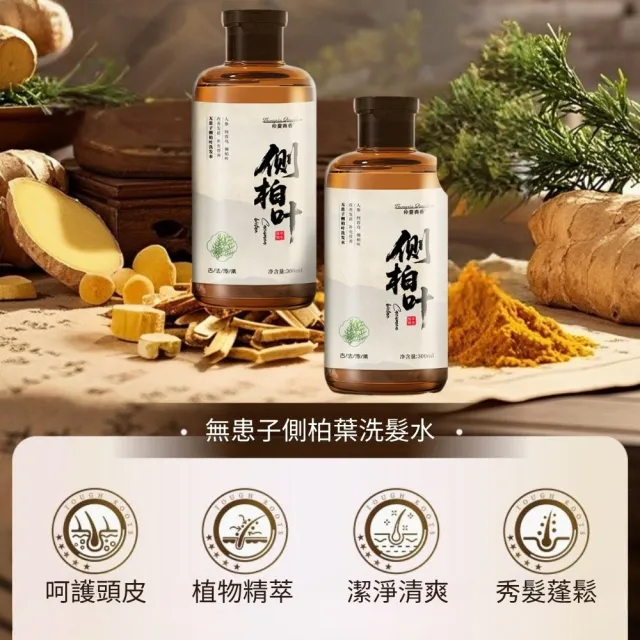 仲夏青春無患子側柏葉洗髮精300ml 2入組(輕盈蓬鬆 自然亮澤 秀髮絲滑 呵護髮絲)