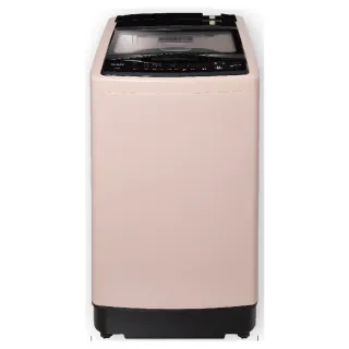 【SAMPO 聲寶】15公斤超震波變頻直立洗衣機(ES-P15DV-P1)