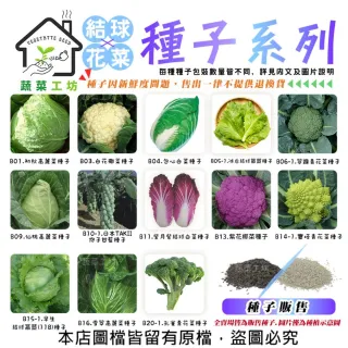 【蔬菜工坊】結球及花菜類種子系列-各種包裝數量詳見內文及圖片(花椰菜 青花菜 萵苣 高麗菜 美生菜)