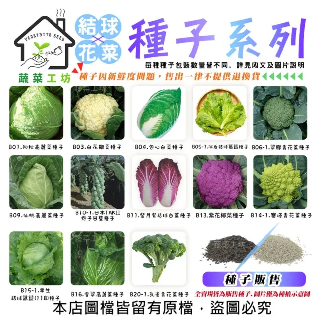 【蔬菜工坊】結球及花菜類種子系列-各種包裝數量詳見內文及圖片(花椰菜 青花菜 萵苣 高麗菜 美生菜)