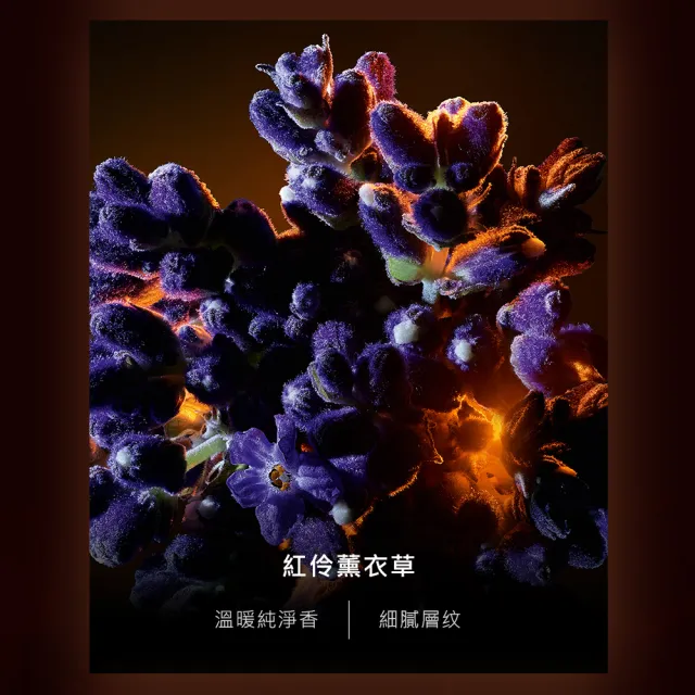 【YSL】官方直營 自由不羈 恣意燃花淡香精 50ML(奔放花草香調)