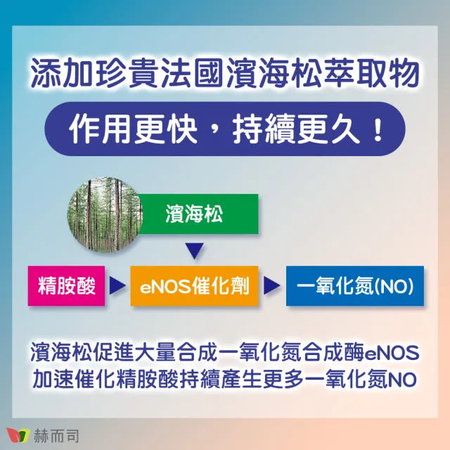 【赫而司】日本左旋精胺酸濱海松樹皮鋅1罐(共90顆阿吉靈精氨酸一氧化氮長效升級配方男性剛強勇健更勝瑪卡)