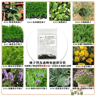 【蔬菜工坊】香草類種子系列-各包裝數量詳見內文及圖片(貓薄荷 羅勒 百里香 洋甘菊)