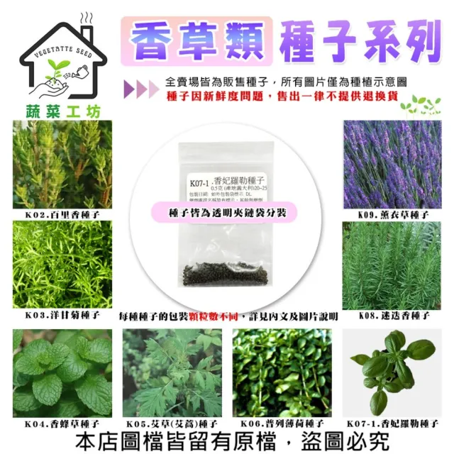 【蔬菜工坊】香草類種子系列-各包裝數量詳見內文及圖片(貓薄荷 羅勒 百里香 洋甘菊)