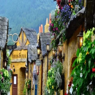 【喜鴻假期】【高雄出發．九州半自助４日】由布院起司蛋糕、二見浦夫婦岩、九重夢大吊橋、別府溫泉