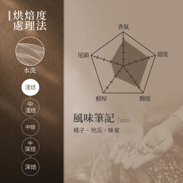 【Buon Caffe 步昂咖啡】接單現烘 精品咖啡豆｜衣索比亞 耶加雪菲 柑橘花蜜 G1 淺焙｜1包入(227g) 雙十