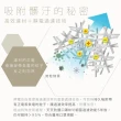 【天天】機車族專用醫療活性碳口罩(25入/盒 立體口罩)