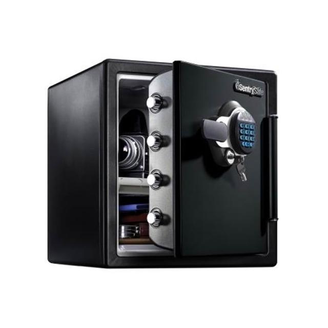 SENTRYSAFE SFW123GTC