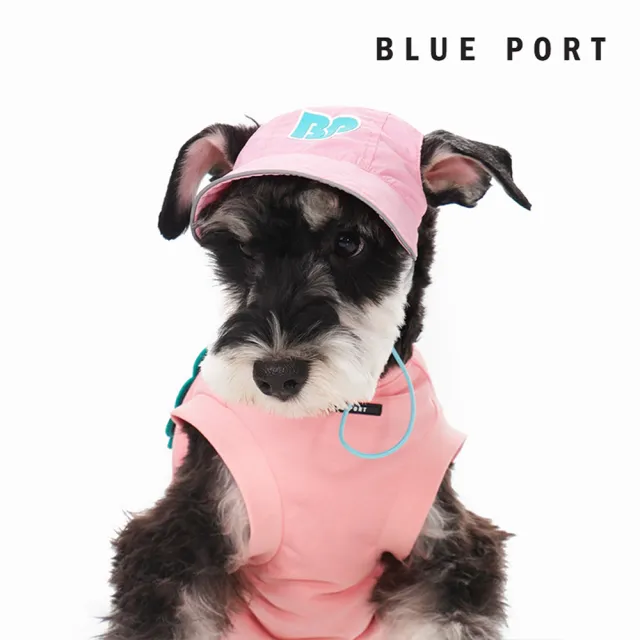 【BLUE PORT】輕薄防曬遮陽帽(透氣不悶熱 寵物防曬帽 露耳設計 寵物戶外裝備 毛孩時尚單品)