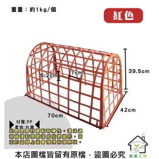 【蔬菜工坊】防蟲網支撐網架紅色、棕色共有2色可選可加買防蟲網
