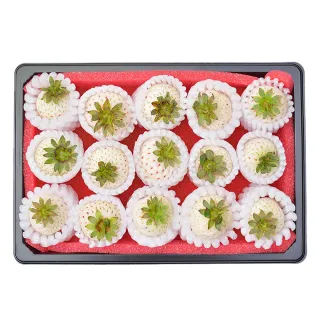 【合家歡 水耕白草莓】100g盒裝 草莓界愛馬仕(無毒無農藥 新鮮現採 潔淨室栽種)