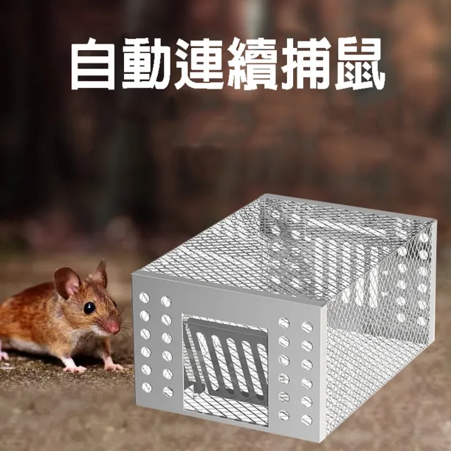 【2026】捕鼠器推薦ptt》10款高評價人氣品牌排行榜 | 好吃美食的八里人