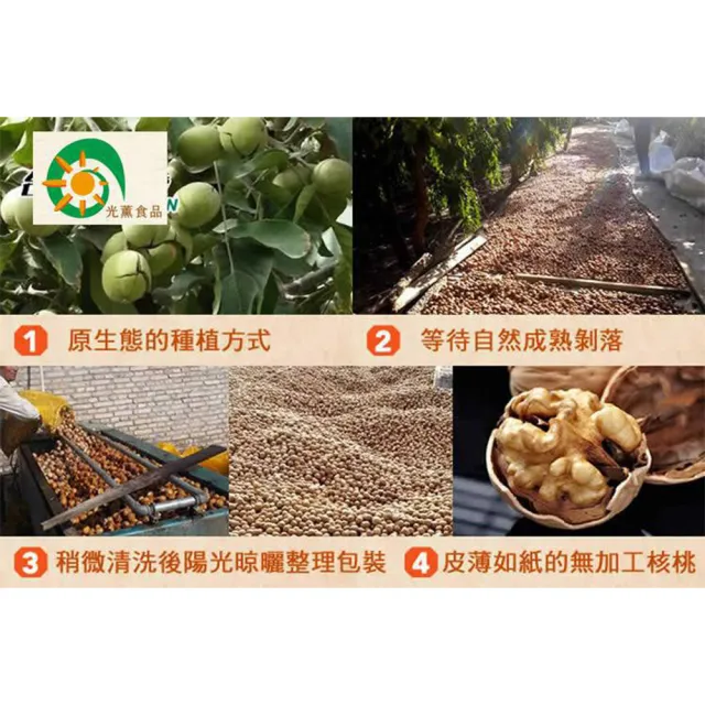 【Guang Xun 光薰】十包組 原味紙皮核桃 里仁同款(無農藥堅果 無調味胡桃 長壽果 送禮推薦 健康嘴饞零食)