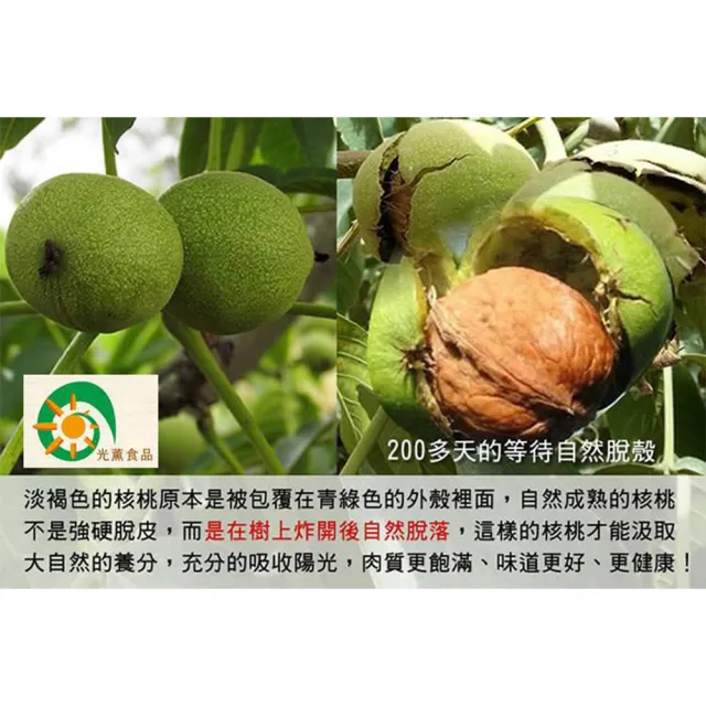 【Guang Xun 光薰】三包組 原味紙皮核桃(無農藥堅果 無調味胡桃長壽果 台灣十大伴手禮盒 入厝禮祝壽禮)