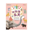 【康軒學習雜誌】學前版一年12期贈4書(精選學前2期+《ABC識寫圖卡：字母拼拼樂》)