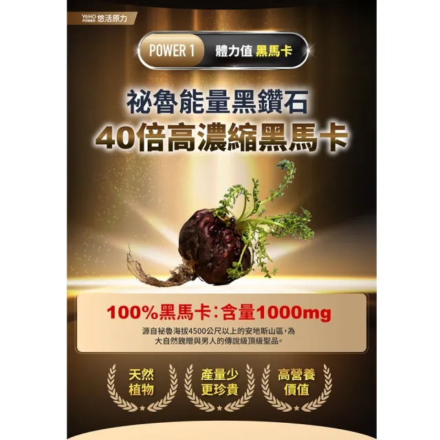 【悠活原力】原力黑馬卡精胺酸粉包3盒-能量飲風味(20包/盒 瑪卡 鋅酵母 南非醉茄 透納葉)