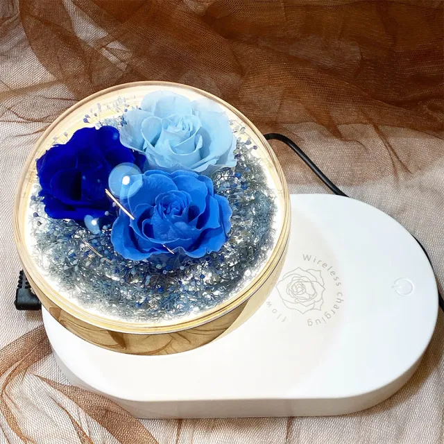 【OSTARA FLORIST 奧斯塔拉花藝】圓球五金環多功能式檯燈 內建手機無線充電功能(永生花、節日送禮)
