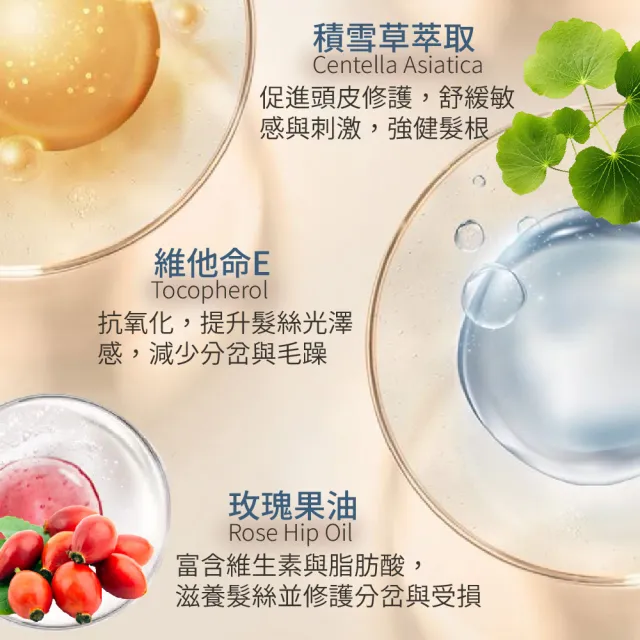 【AUS LIFE 澳思萊】BC黃金玫瑰B5洗髮精500ml(洗護2in1 金耀修護富養秀髮)